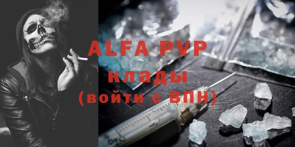 ГАЛЛЮЦИНОГЕННЫЕ ГРИБЫ Белокуриха