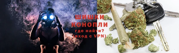 ГАЛЛЮЦИНОГЕННЫЕ ГРИБЫ Белокуриха