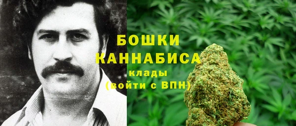 ГАЛЛЮЦИНОГЕННЫЕ ГРИБЫ Белокуриха