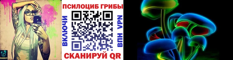 kraken вход  как найти наркотики  Волчанск  Псилоцибиновые грибы MAGIC MUSHROOMS 